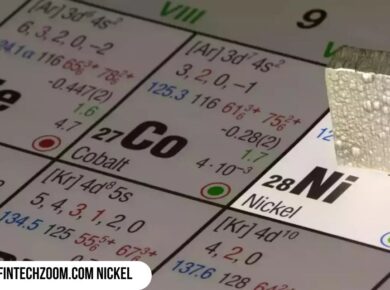FintechZoom.com Nickel